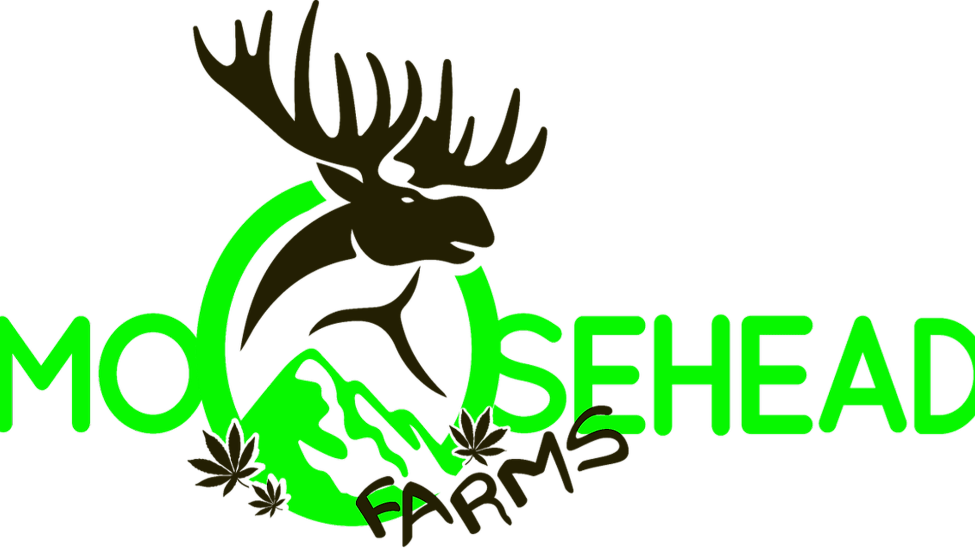 Moosehead Farms Bethel, ME Dispensary Leafly